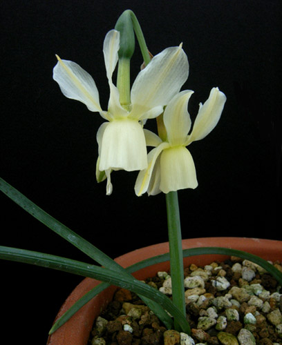 [��ˮ]��ˮ��