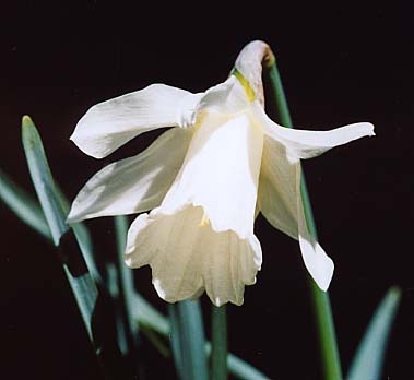 [��ˮ]��ˮ��