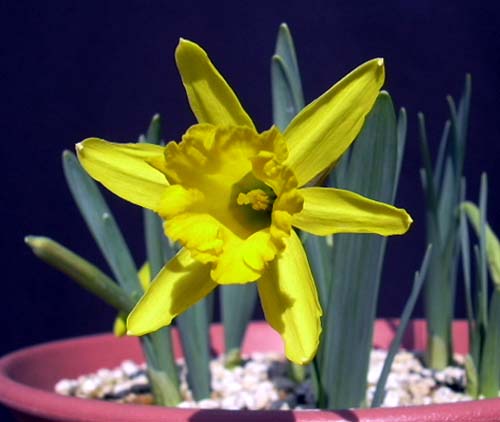 [��ˮ]��ˮ��