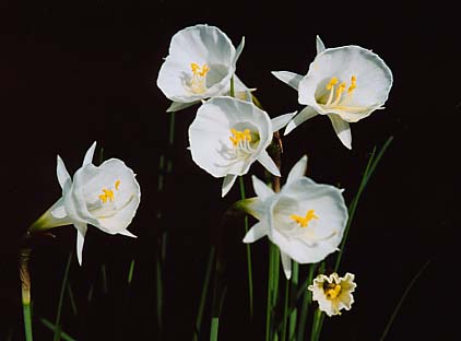 [��ˮ]��ˮ��