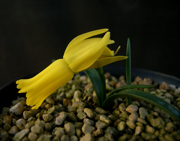 [��ˮ]��ˮ��