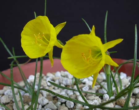 [��ˮ]��ˮ��