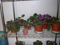 �ҵ�СС���������������´��죩