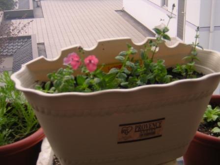 ���ų�����ҵ:�ŵ����ӿ�����..