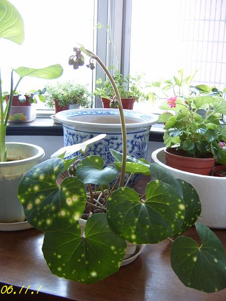 �����椿������̼�¼~