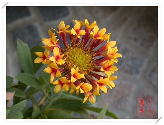 ���˾պ����մ�