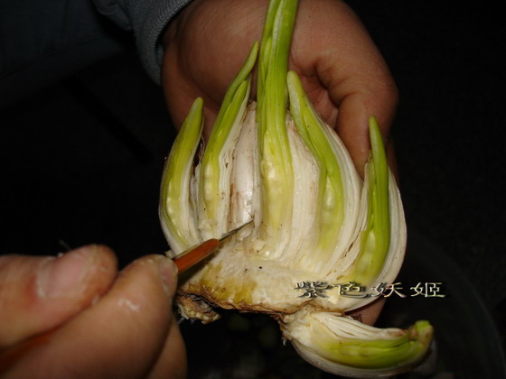 ˮ�ɵ�̷���