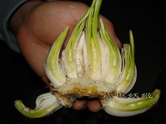 ˮ�ɵ�̷���