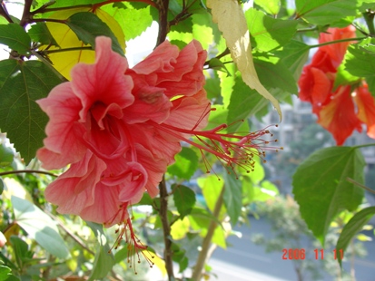 ���Է���--Ư���ķ�ɣ