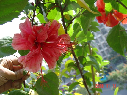 ���Է���--Ư���ķ�ɣ