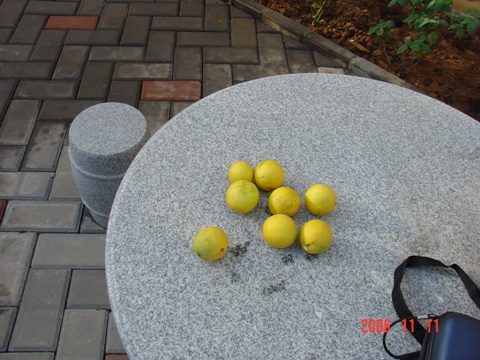 ���Ǽ���ʵ��СԺ��