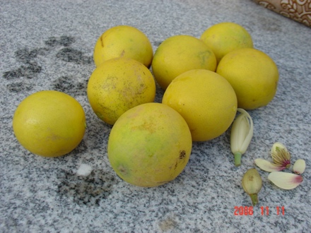 ���Ǽ���ʵ��СԺ��