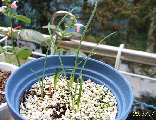 [��ͼ]��ѿ�����ǡ����غ컨��