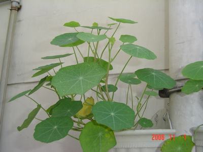 �ɰ��Ľ���(�����ϵ��л�����2��ҳ)