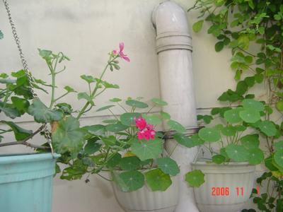 �ɰ��Ľ���(�����ϵ��л�����2��ҳ)