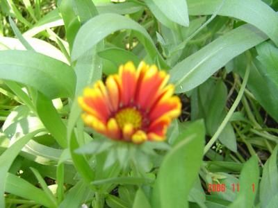 ����Ļ�(XYP�������ÿ�����23ҳ)