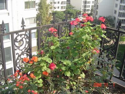 ����Ļ�(XYP�������ÿ�����23ҳ)