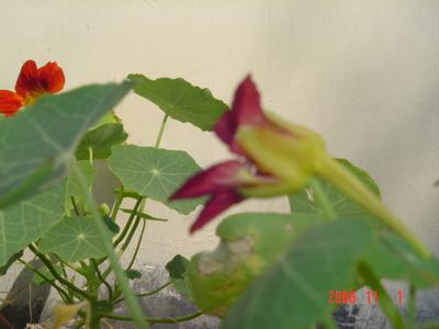 �ɰ��Ľ���(�����ϵ��л�����2��ҳ)