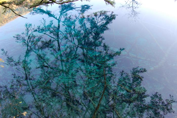 Ұè��è�ξ�N����