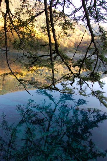 Ұè��è�ξ�N����