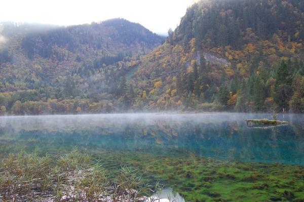 Ұè��è�ξ�N����