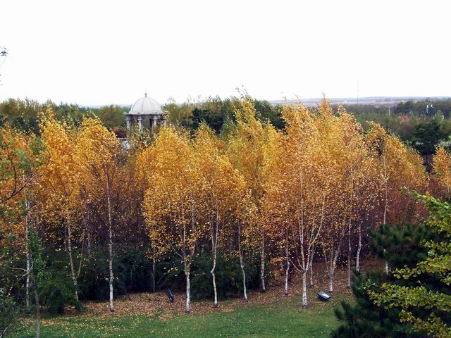 ������԰��