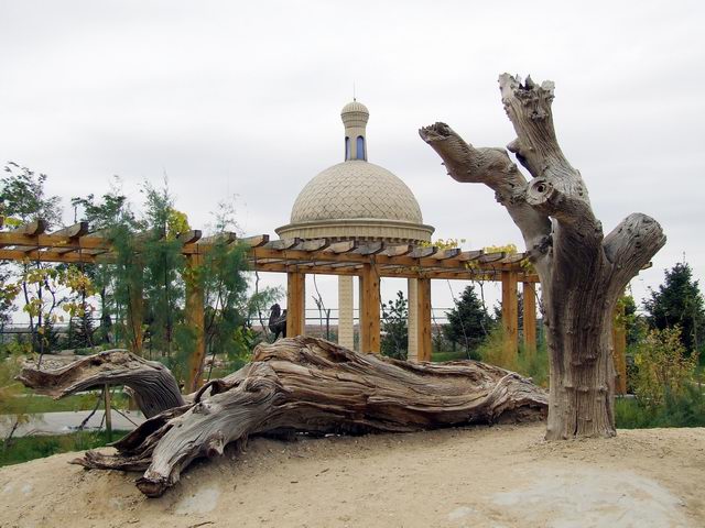 ������԰��