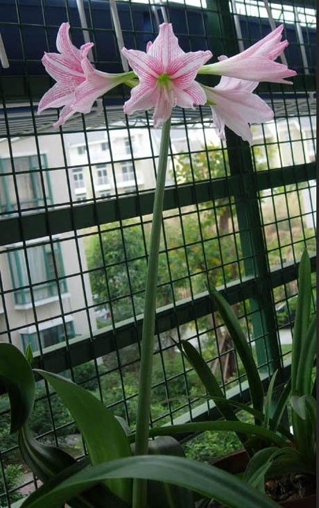 �������·�����ͼ