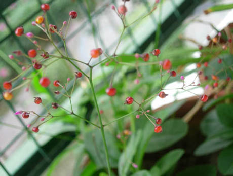 �������·�����ͼ