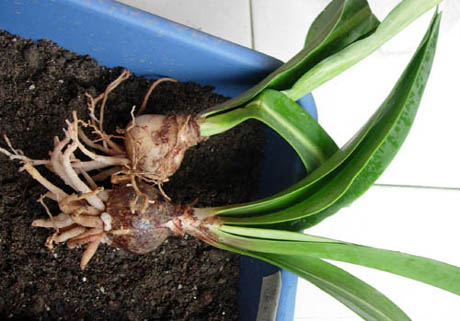 �������·�����ͼ