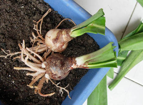 �������·�����ͼ