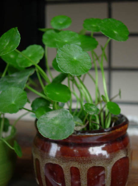 �������·�����ͼ