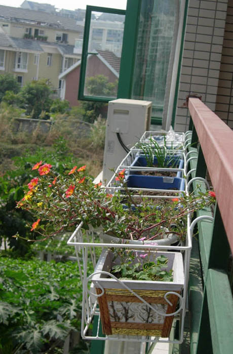 �������·�����ͼ