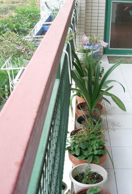 �������·�����ͼ