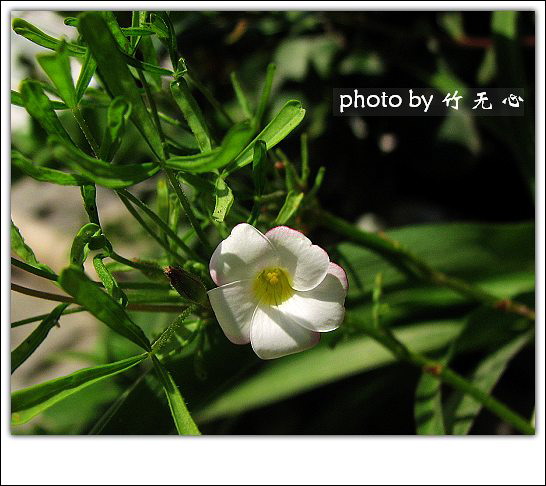 ����Ļ���~P8,�׻�������..