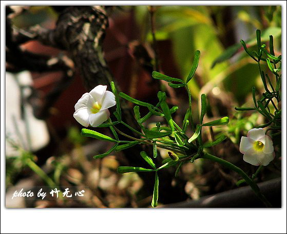 ����Ļ���~P8,�׻�������..