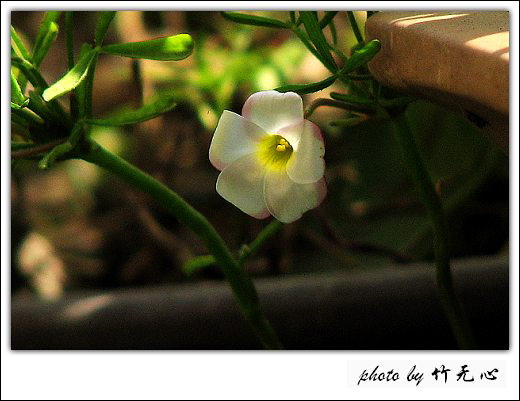 ����Ļ���~P8,�׻�������..