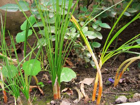 ż�ҵ������