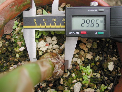 ��������춥��(ת��)