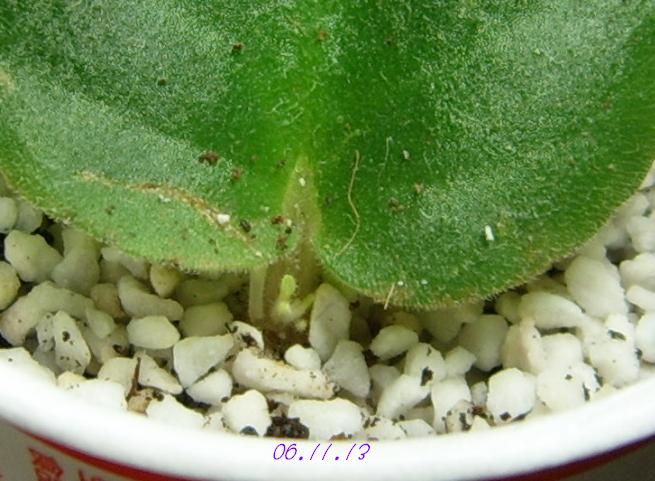 [ԭ��]���Ĳ�����������