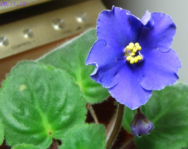 [ԭ��]���Ĳ�����������