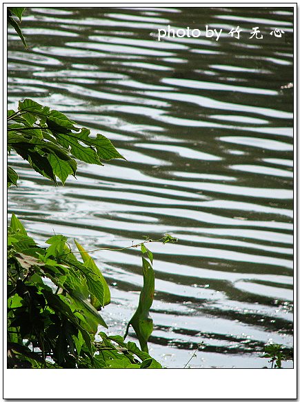 פ������