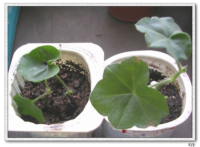 �ҵ�һЩС��