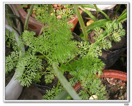 �ҵ�һЩС��