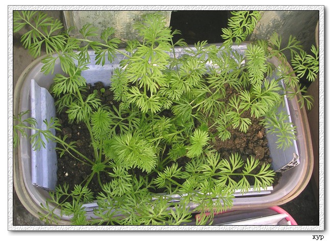 �ҵ�һЩС��