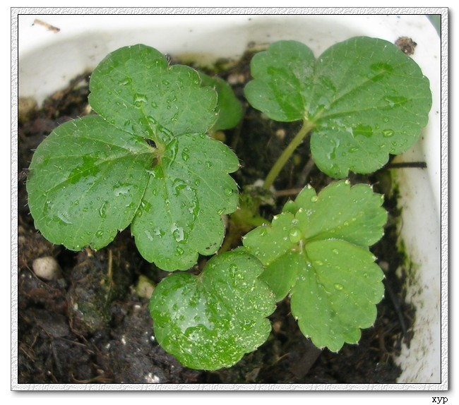 �ҵ�һЩС��