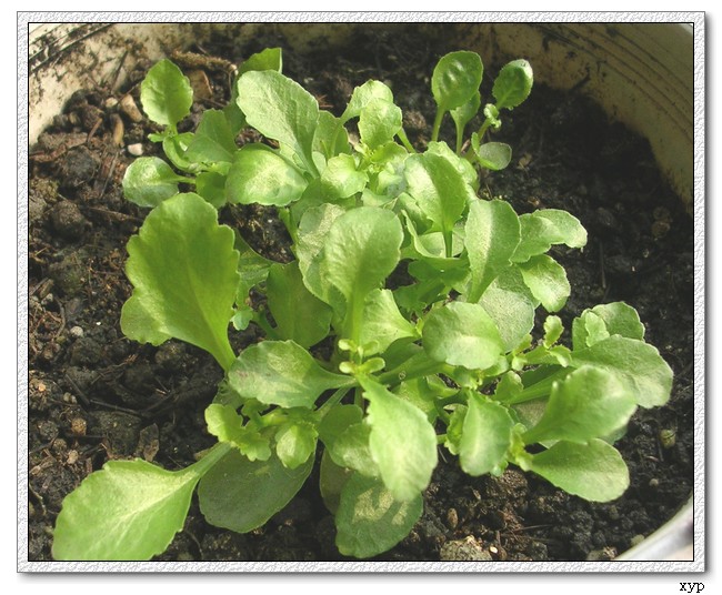 �ҵ�һЩС��