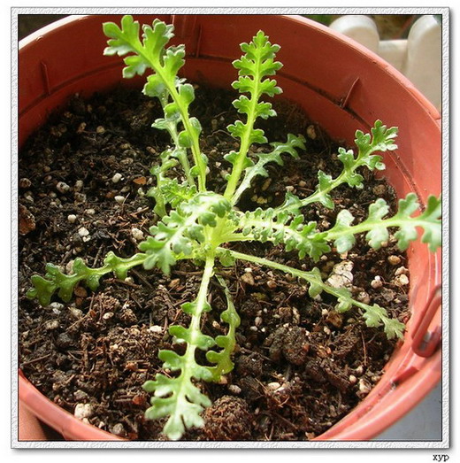 �ҵ�һЩС��