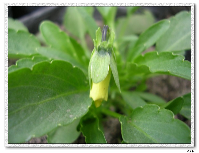 �ҵ�һЩС��