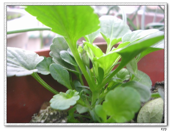 �ҵ�һЩС��